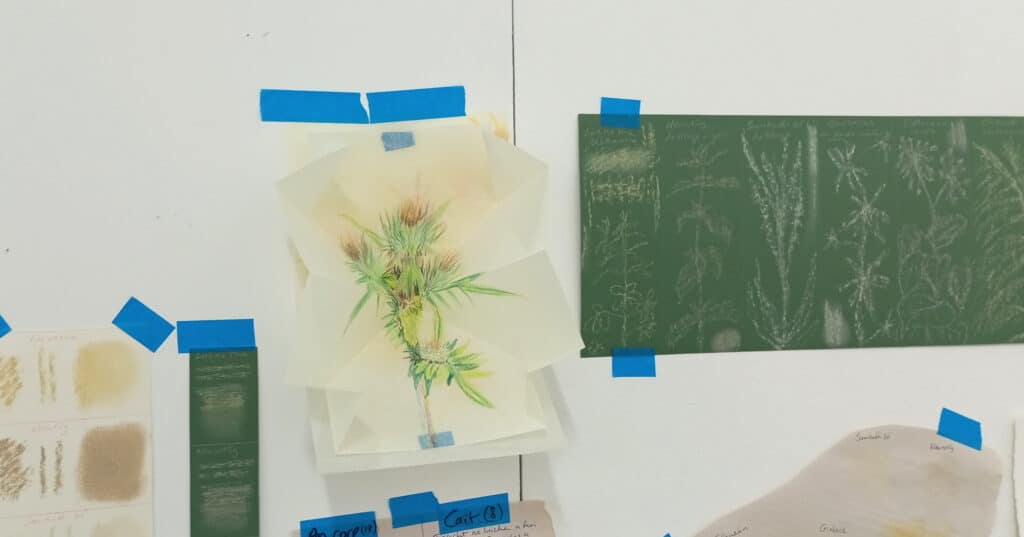 Close up studio view with drawings taped to the walls with blue tape